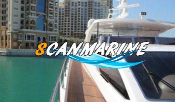 MAJESTY 105 full