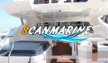 MAJESTY 105 full