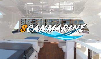 MAJESTY 105 full