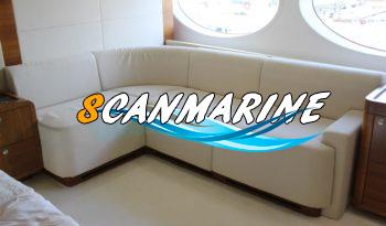 MAJESTY 105 full